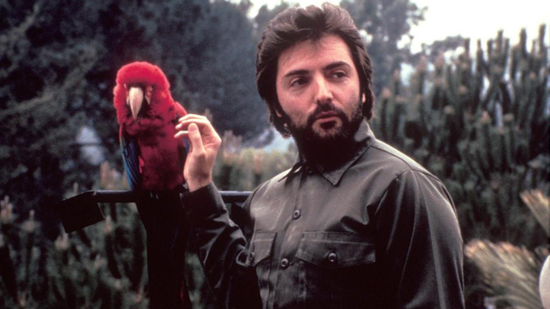 Love and Money (1981)