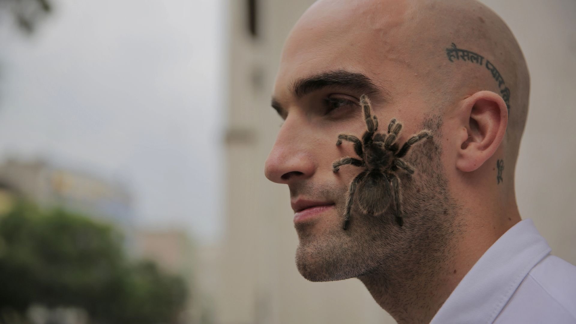Thumbnail for Burning Man Season 1 Episode 6