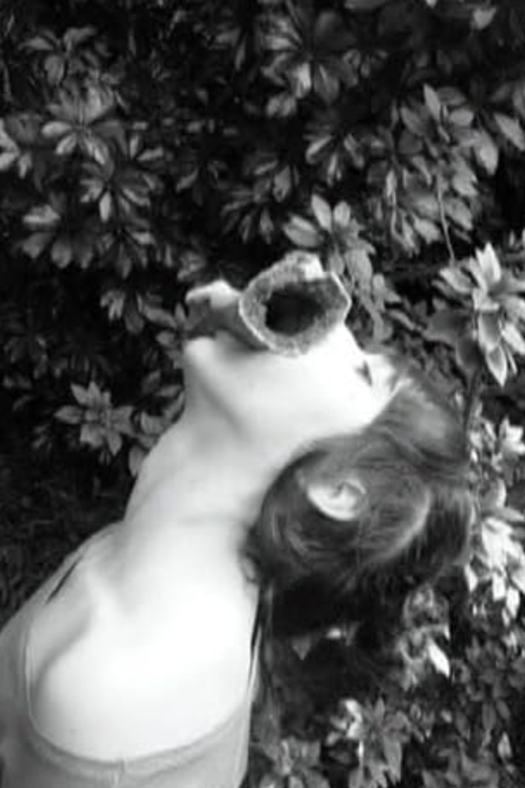 Rachel S. Busse