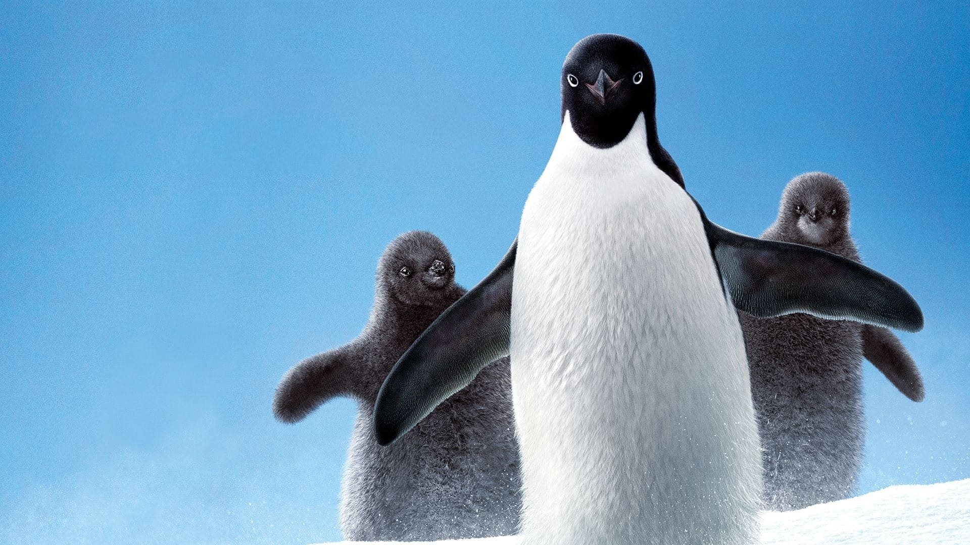 Pinguinii (2019)