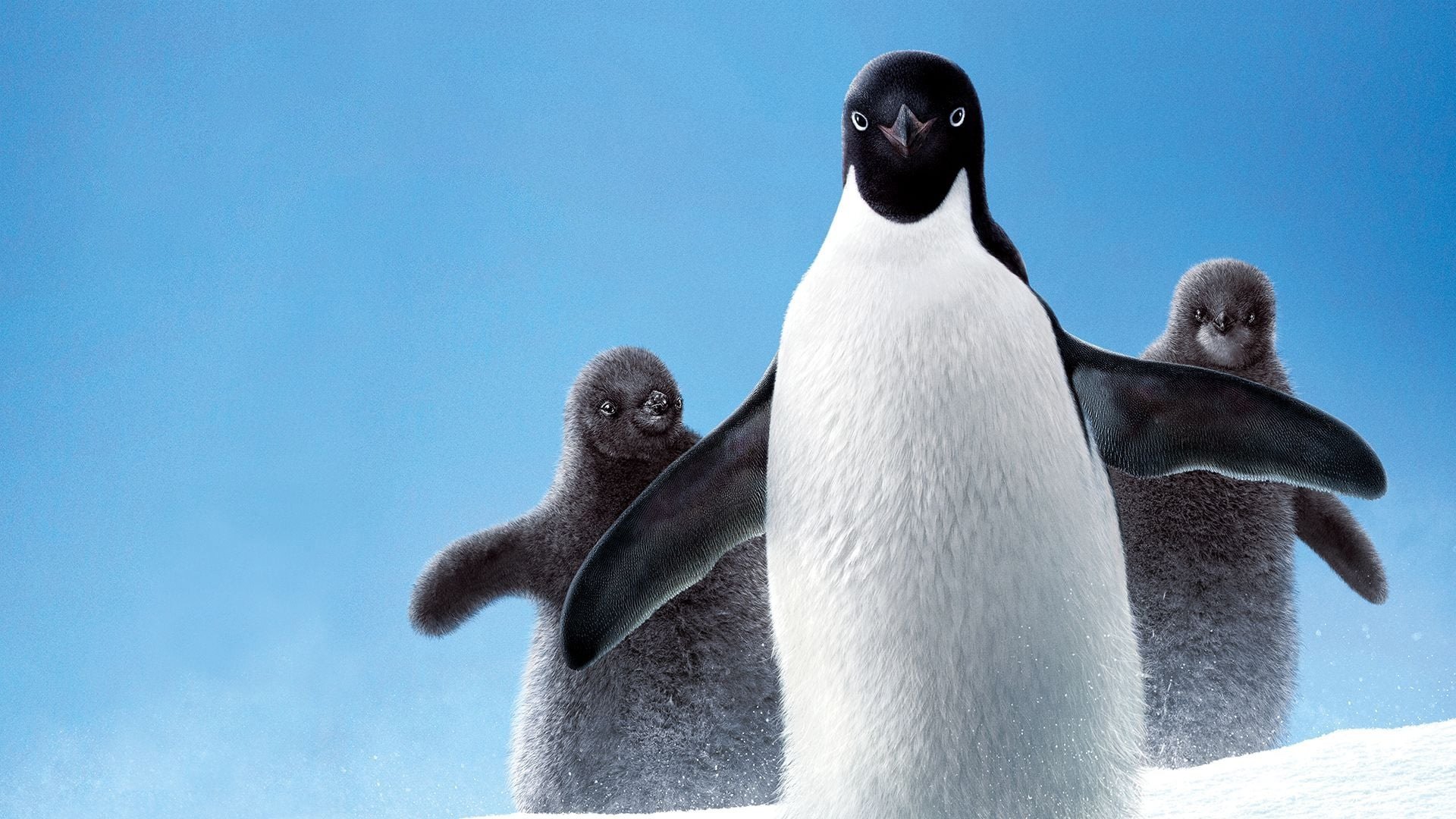 Penguins (2019)