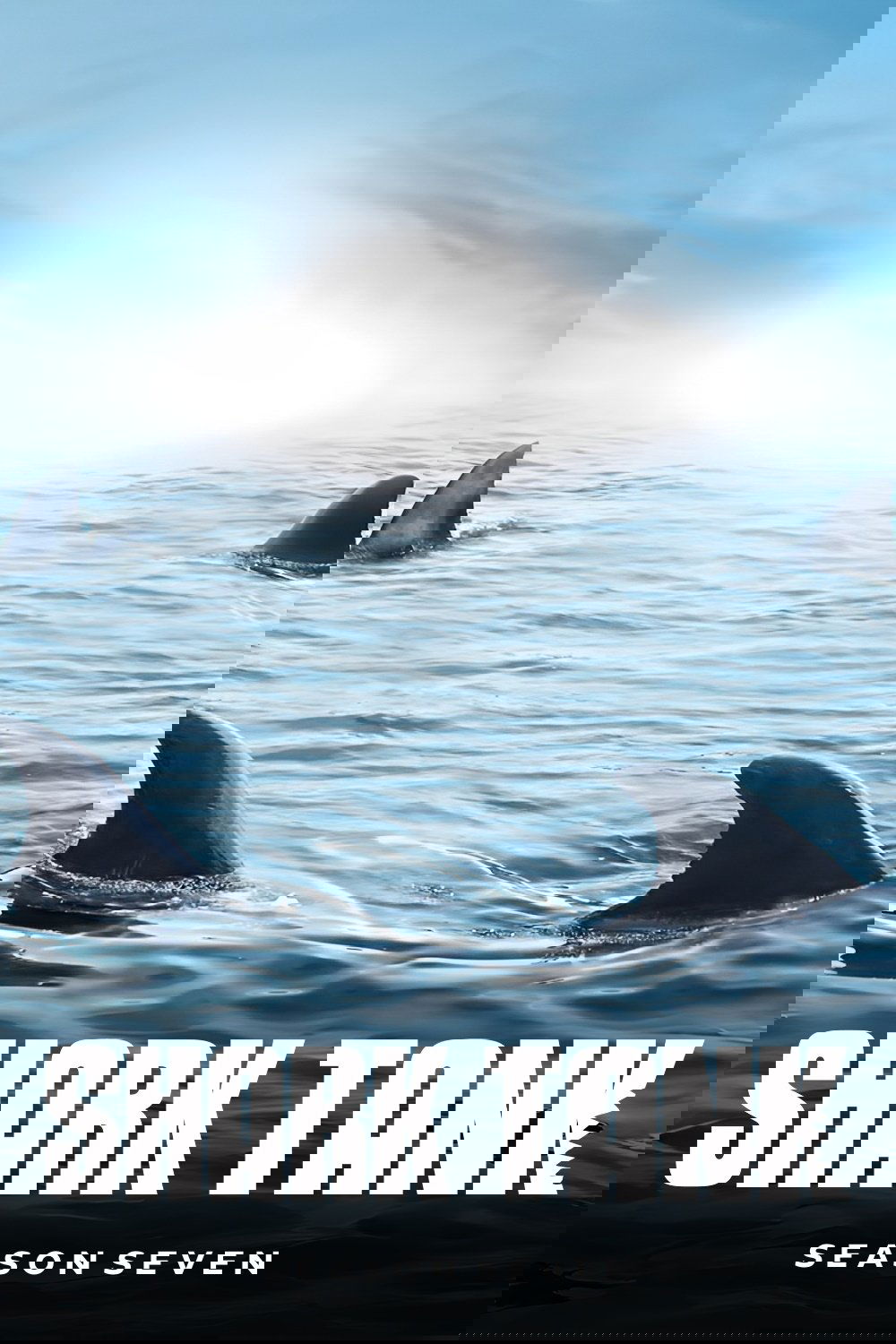 Shark Tank Season 7