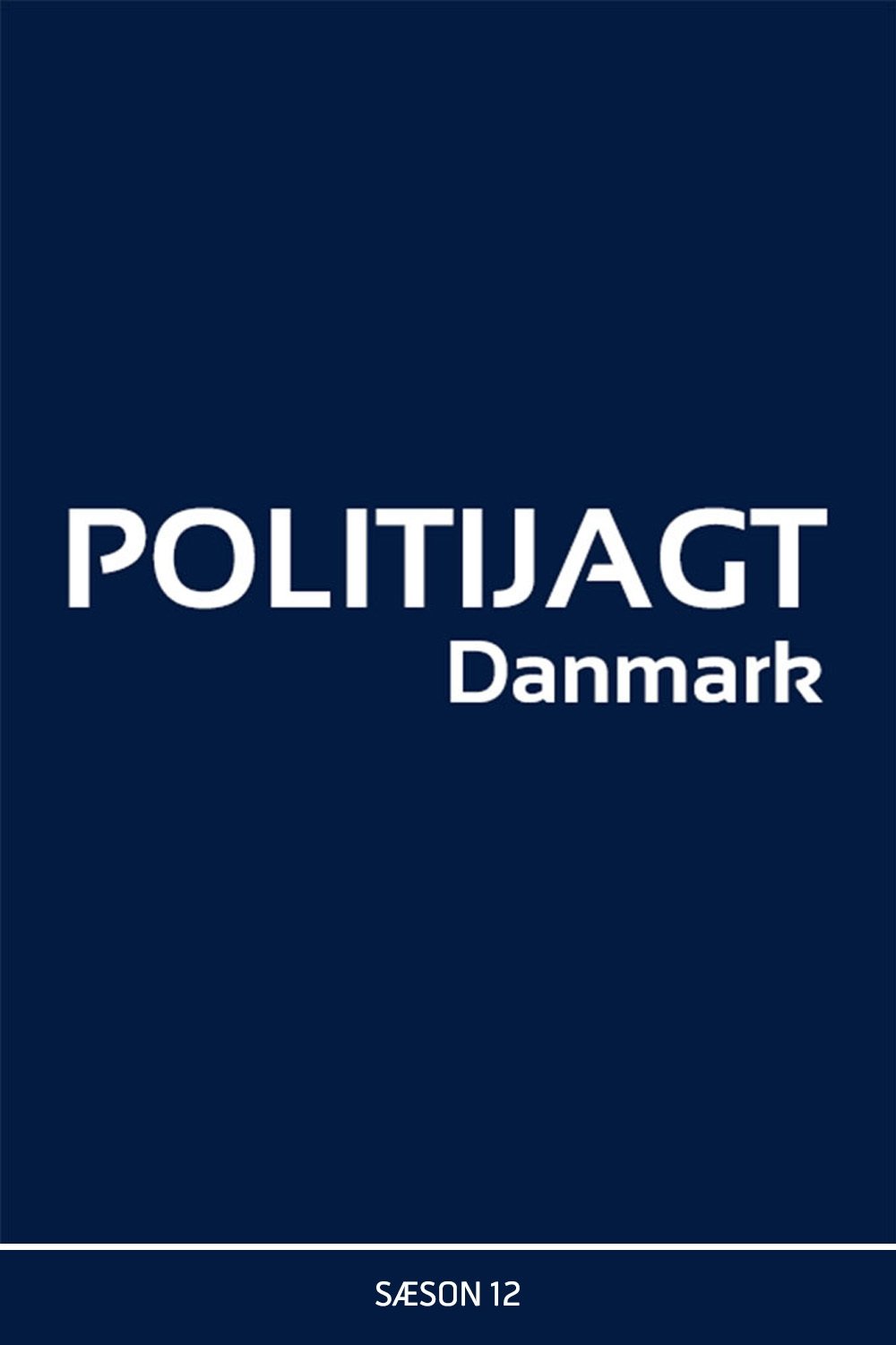 Politijagt - Season 12