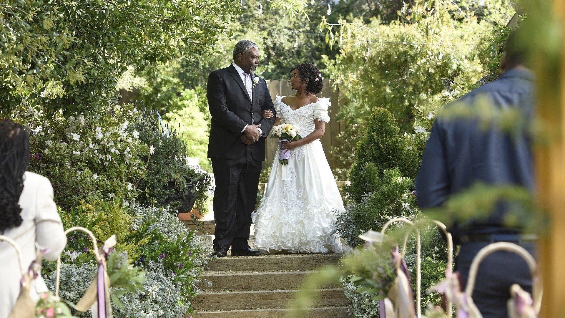 Grey's Anatomy Season 19 :Episode 19  Wedding Bell Blues