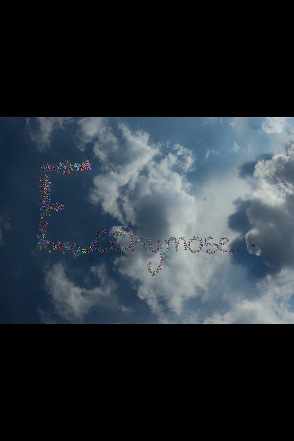 poster movie Ecchymosis