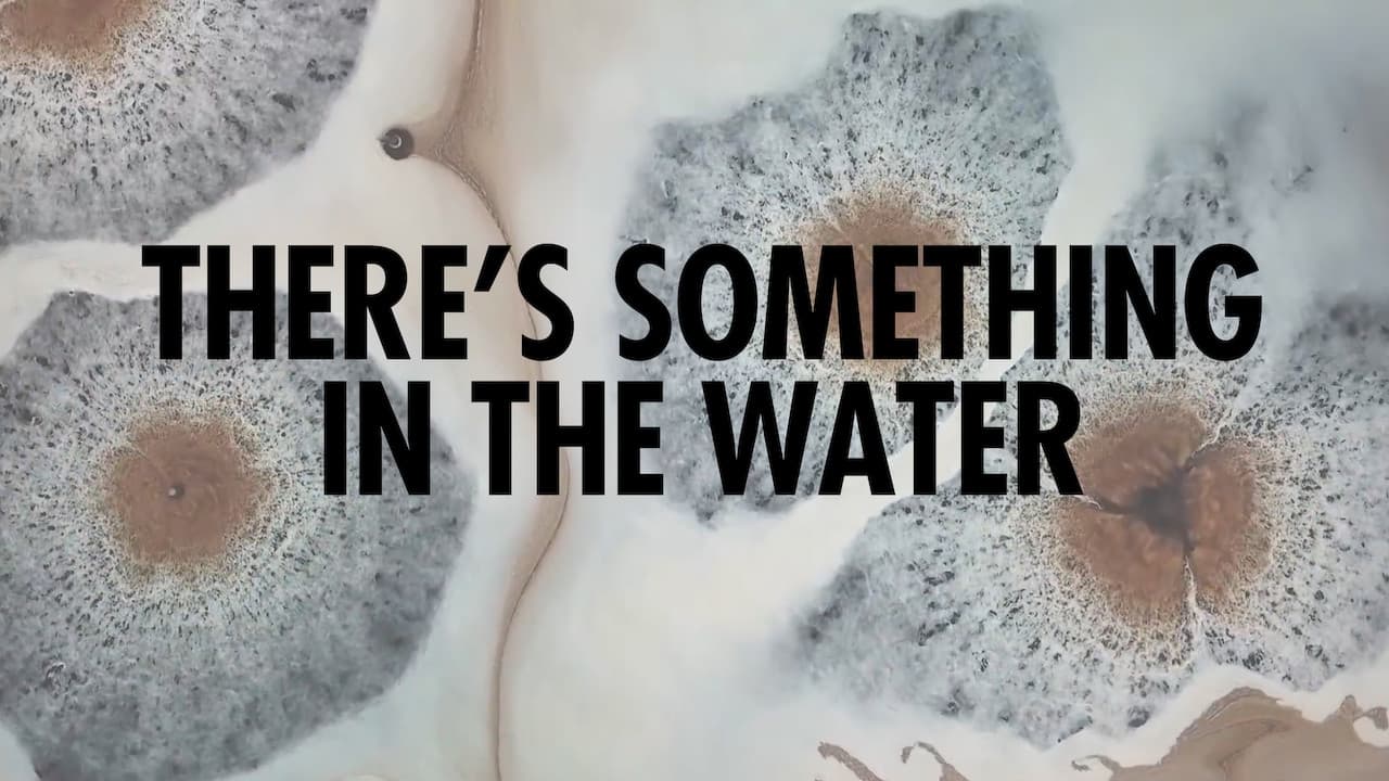 There's Something in the Water: Ympäristörasismin perintö