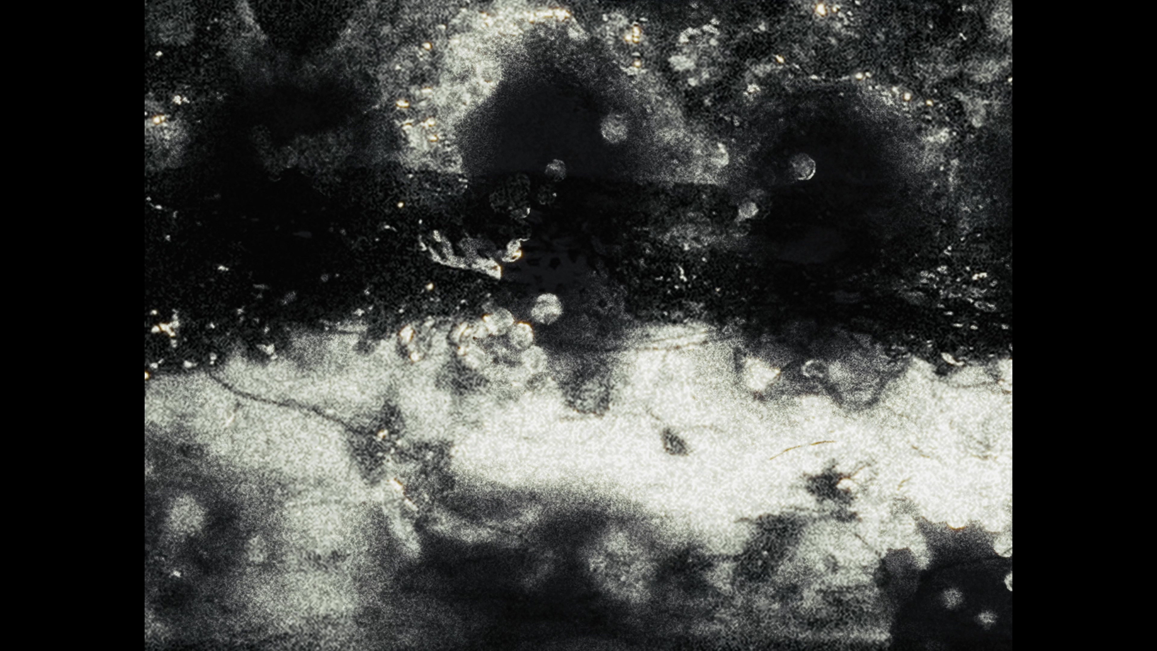 Media image