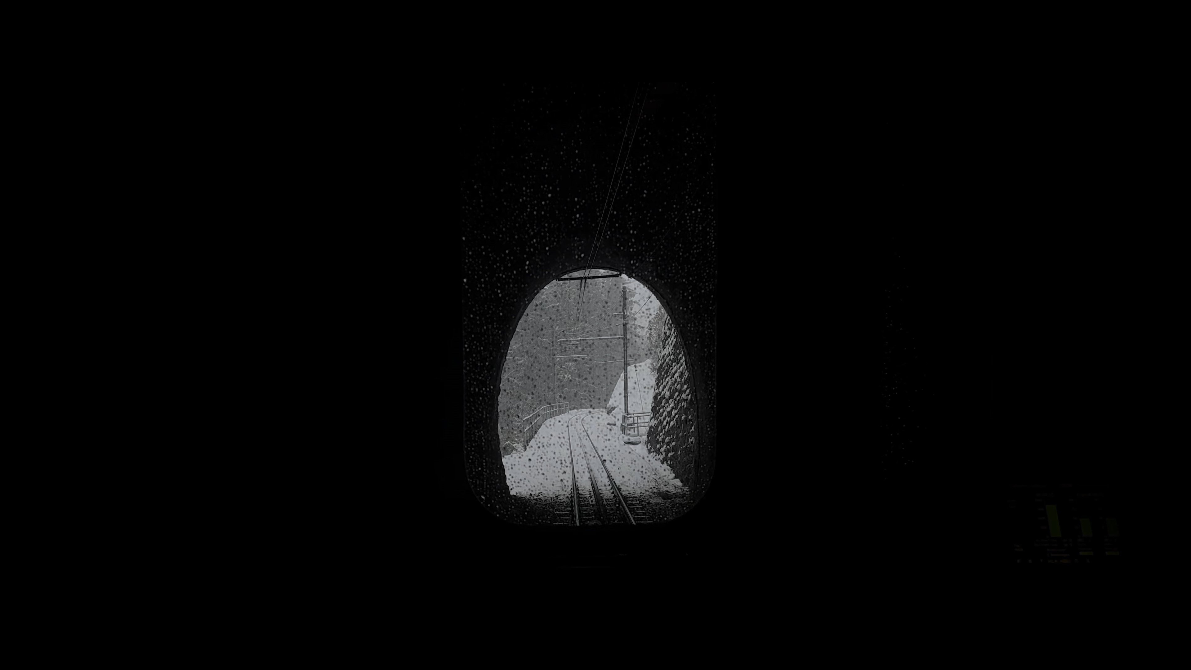Snowy Train (2024)