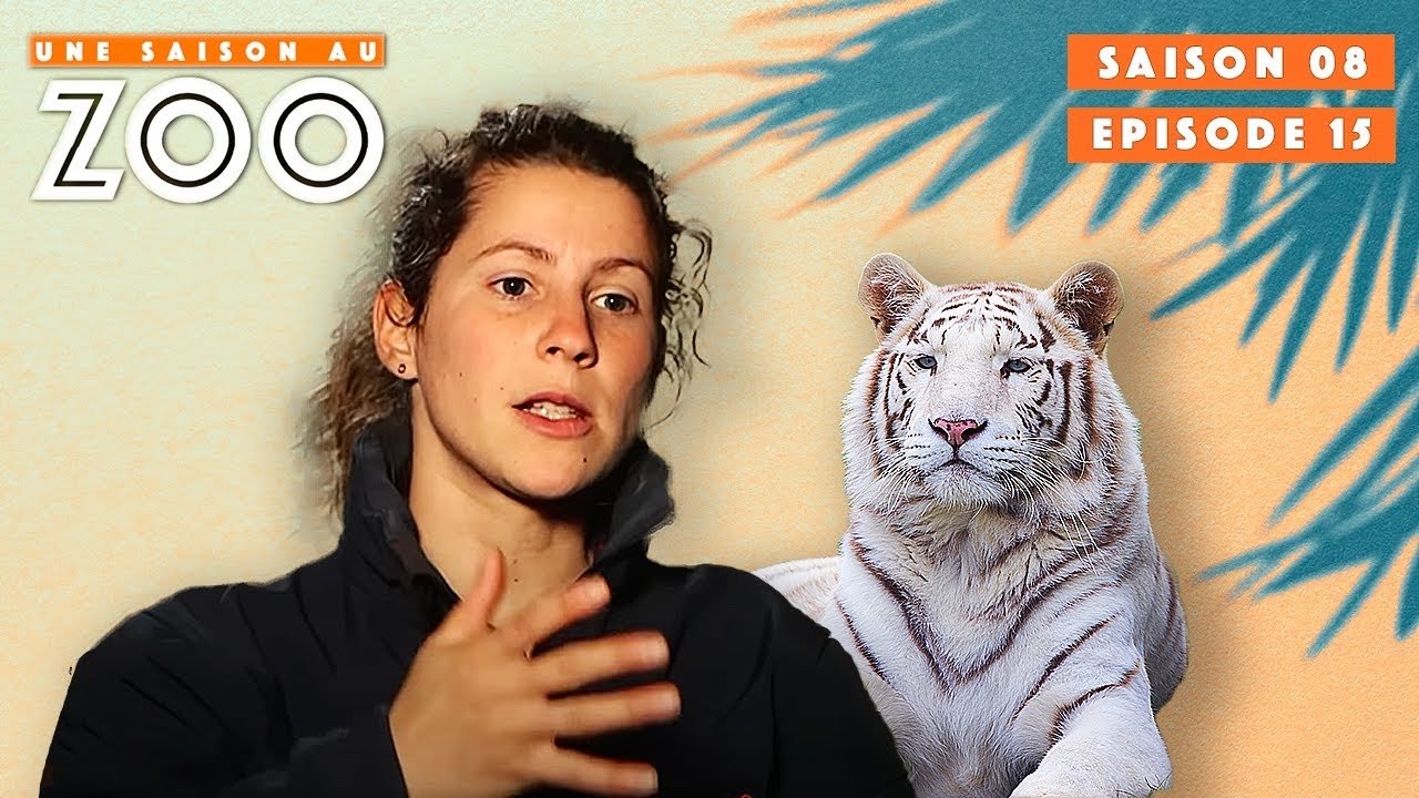 Une saison au zoo