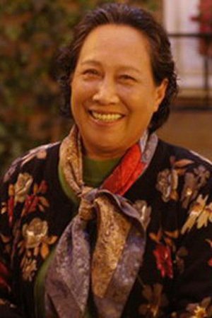 et billede af Sun Guitian