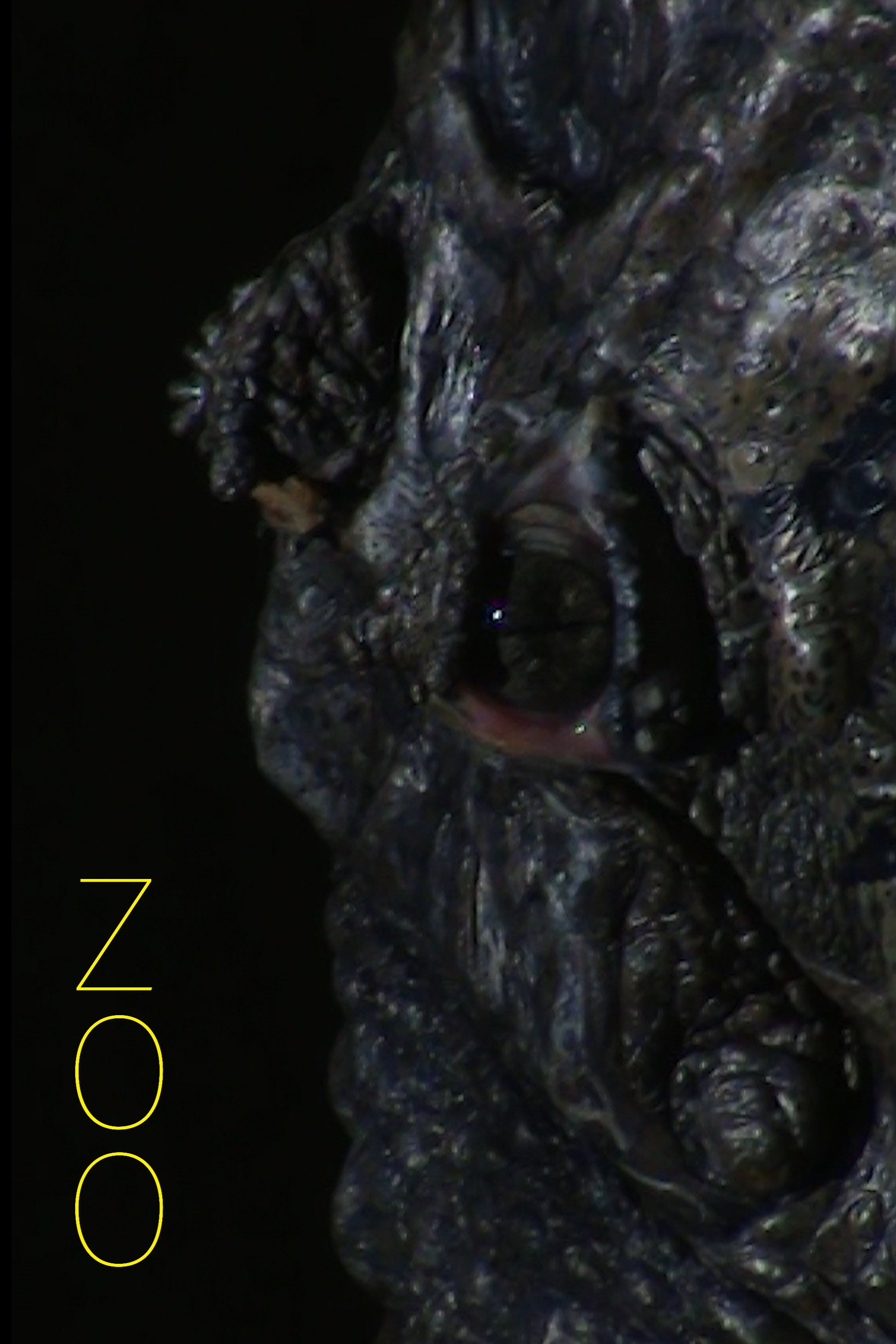 Poster de Zoo