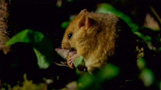 Countryfile 33x28