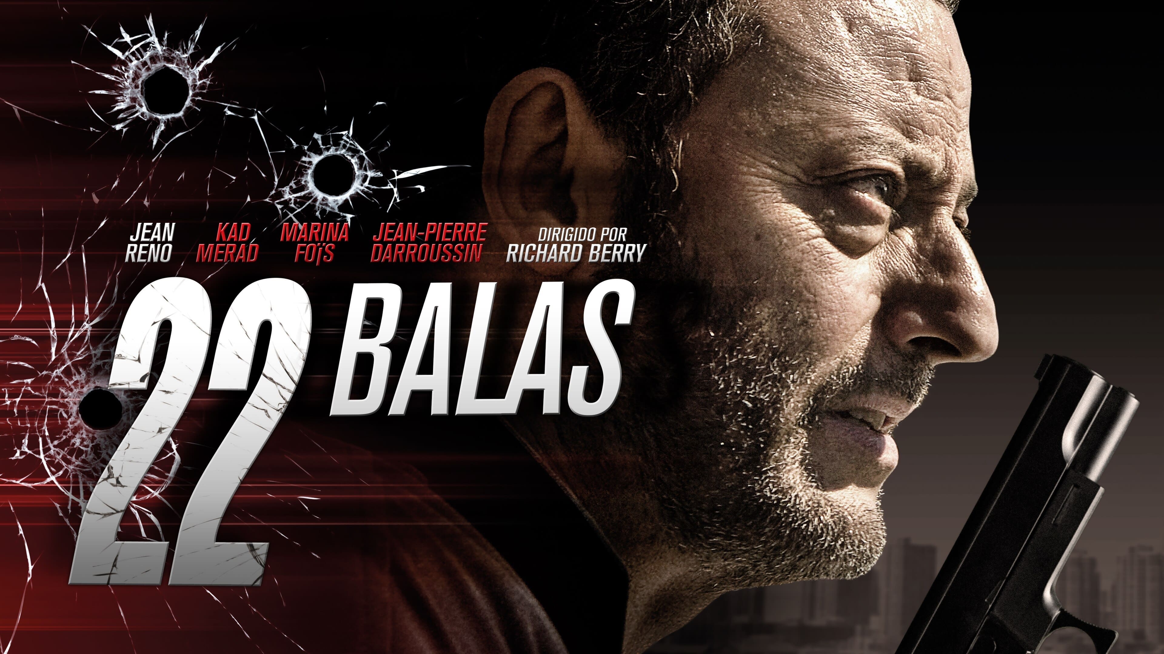22 Bullets (2010)