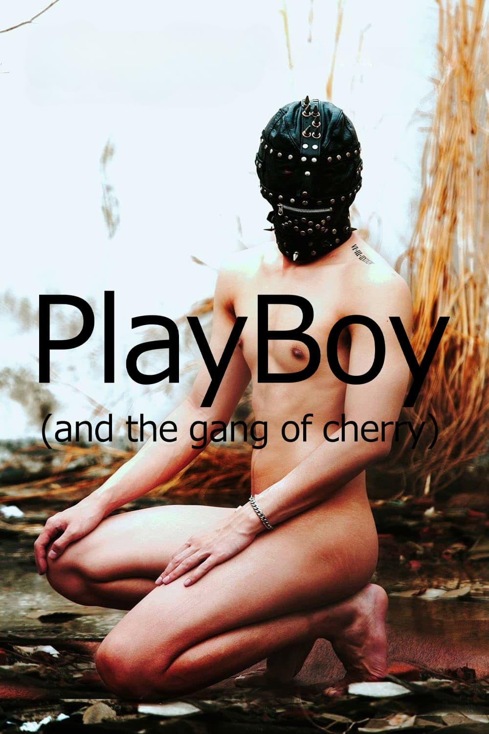 PlayBoy (and the Gang of Cherry)