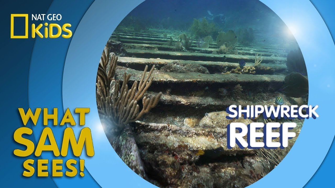 Thumbnail for Shipwreck Reef Season 1 Episode 10