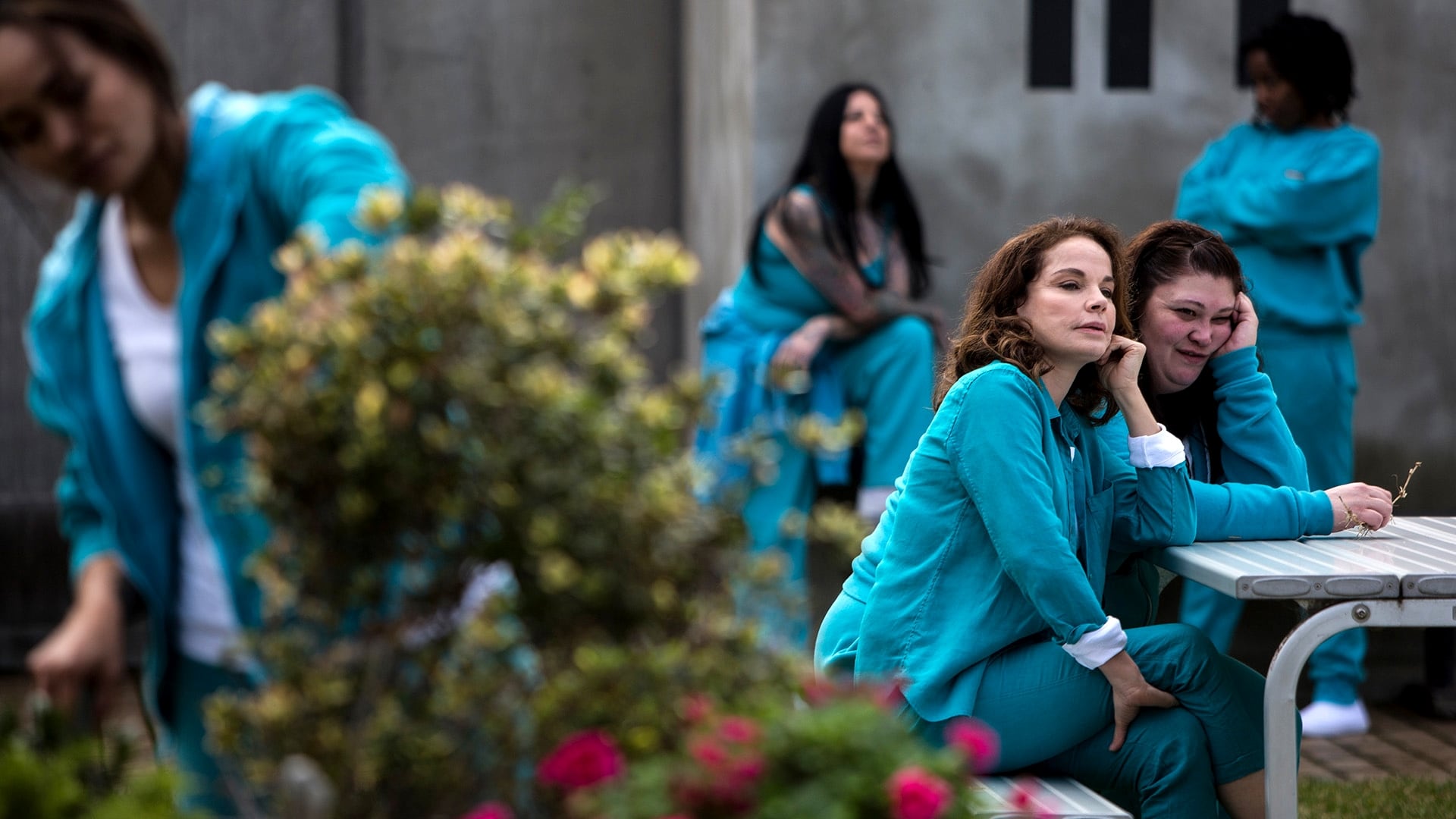 Wentworth Staffel 6 :Folge 4 