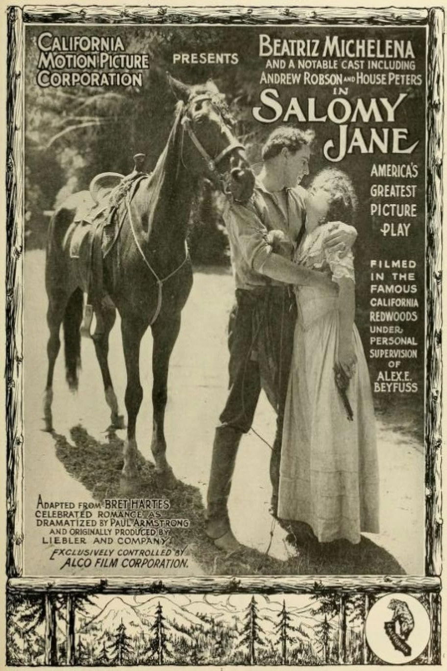 Salomy Jane (1914) movie poster