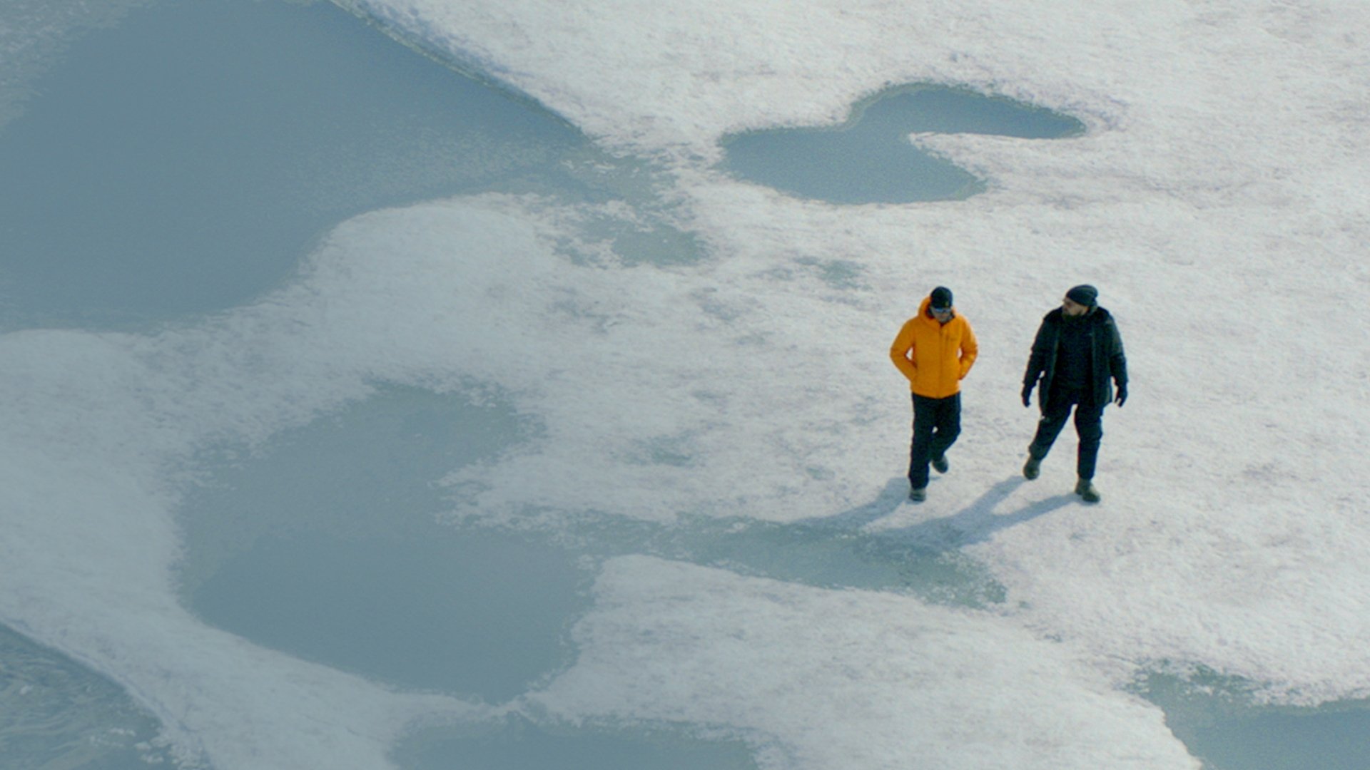 Before the Flood: DiCaprios klimakamp (2016)