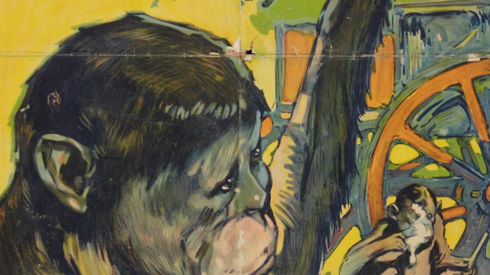 Miracles of the Jungle (1921)