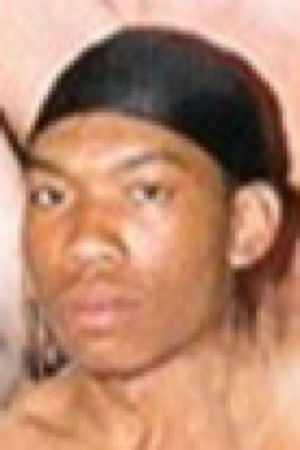 et billede af Tweety