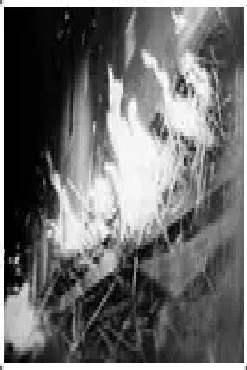 Fire Poster