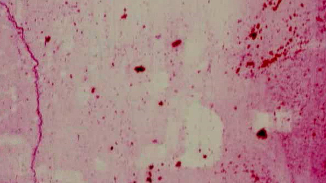 The Red Thread
