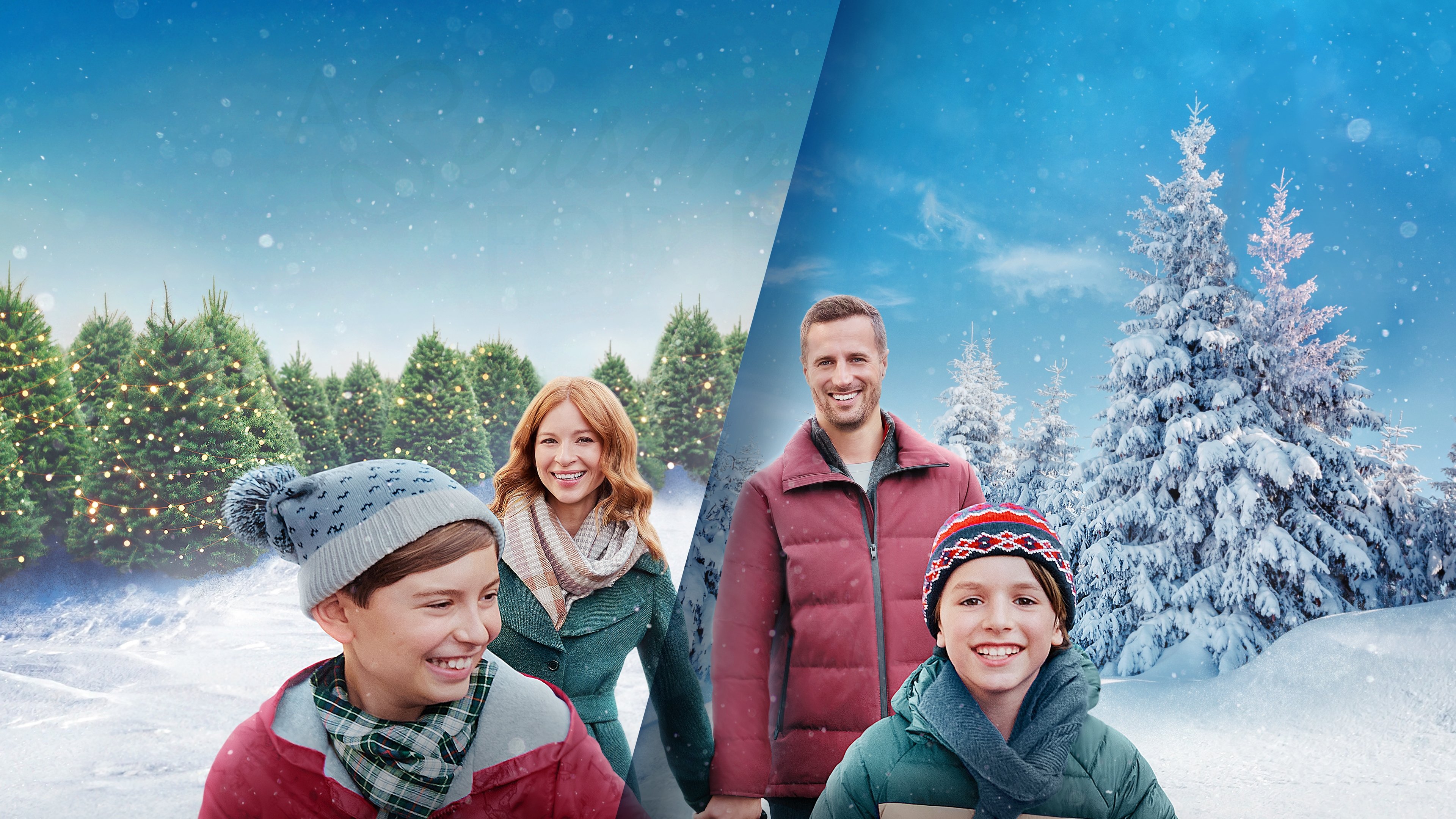 Poster: A Season for Family Poster: A Season for Family