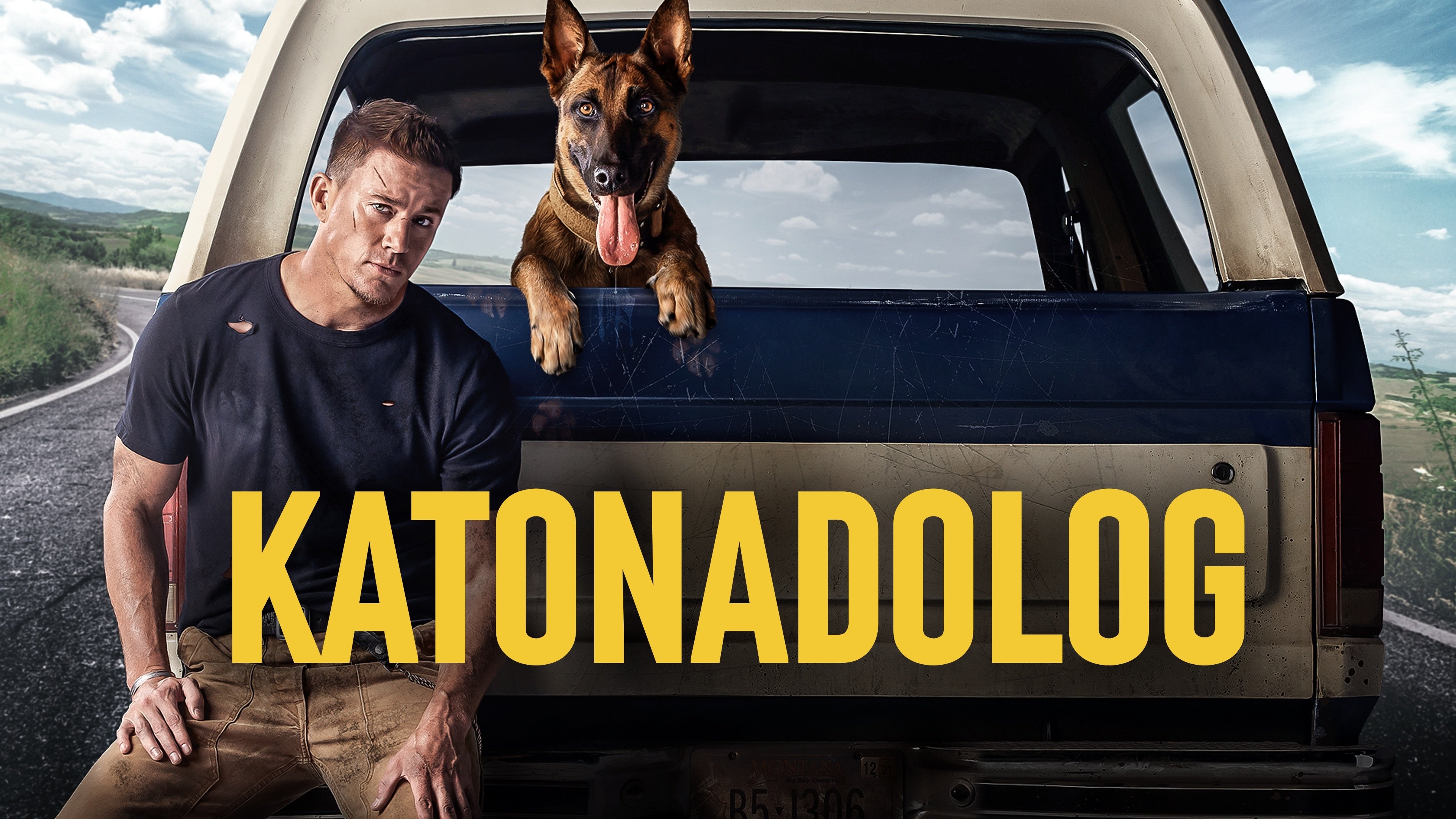 Dog (2022)