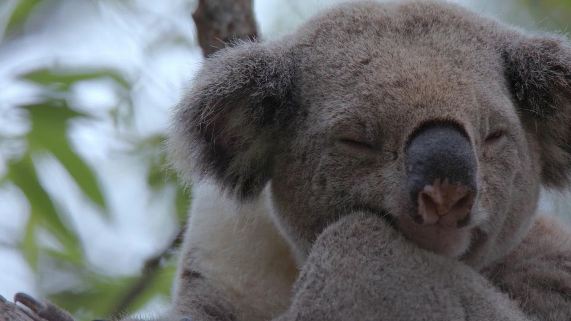 Earth Odyssey with Dylan Dreyer S07E01 backdrop