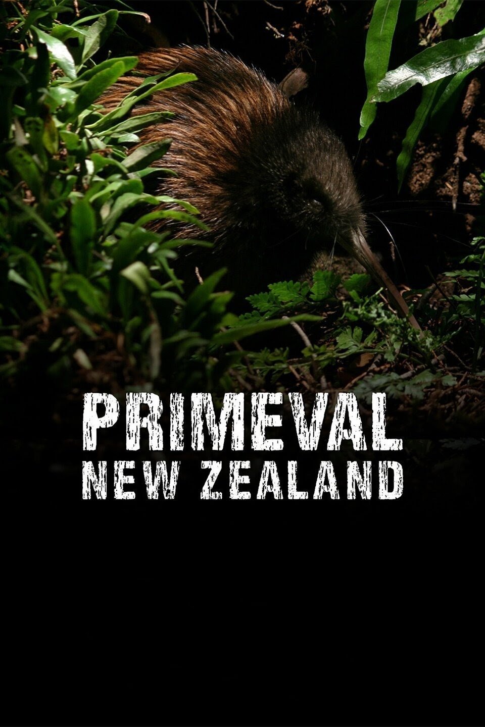 Primeval New Zealand