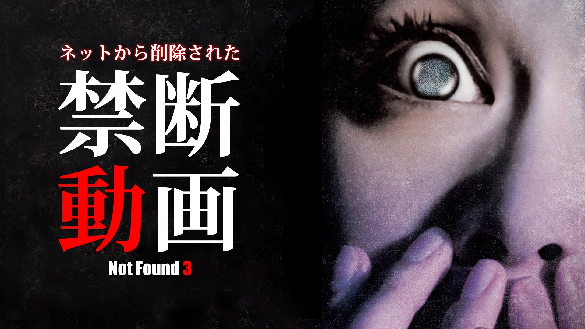 Not Found 3 (2011)