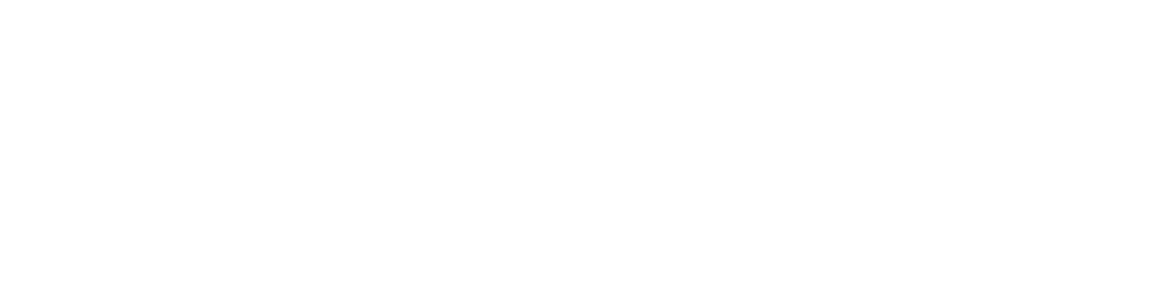 Lost in America Logo