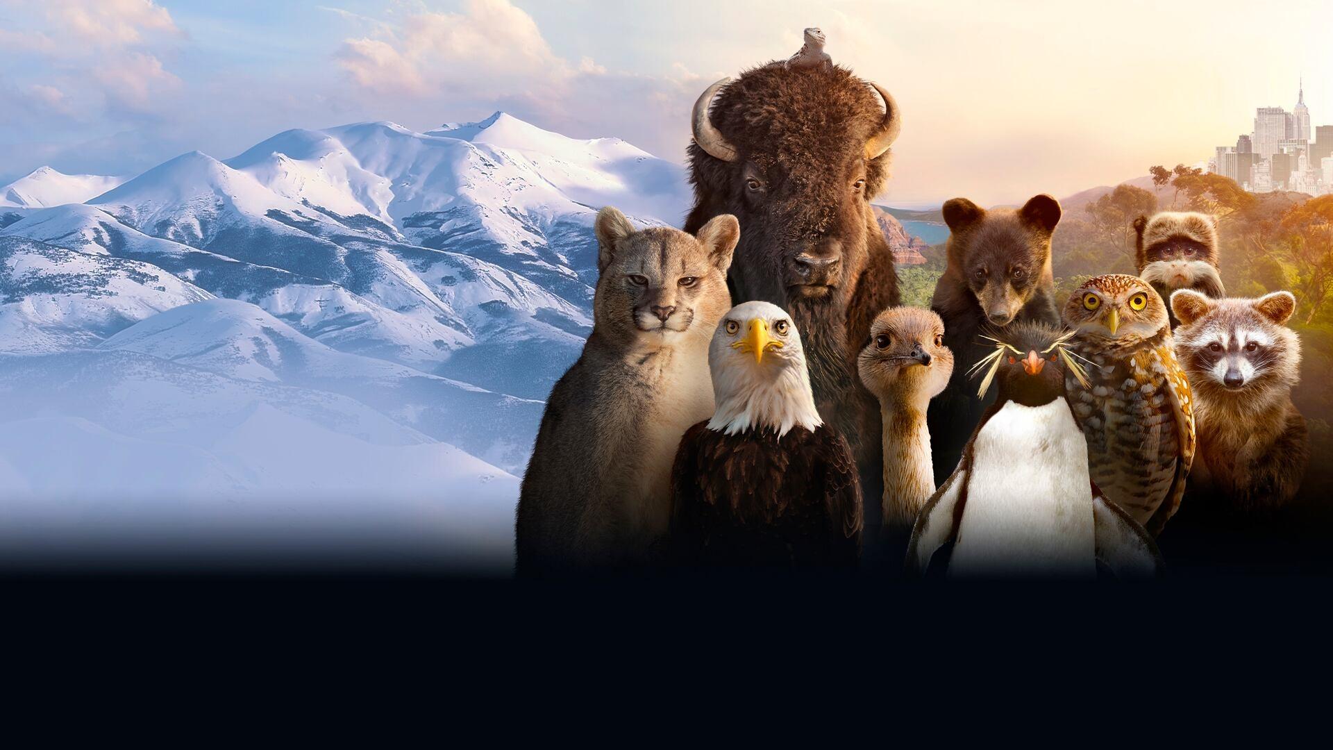 Backdrop Image