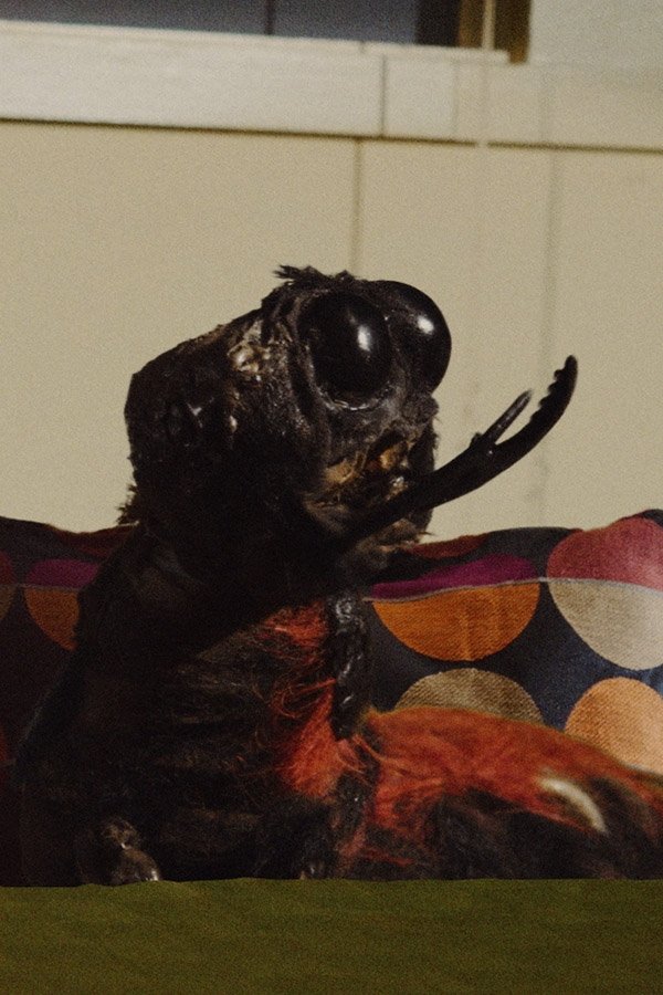 et billede af Israel Koite