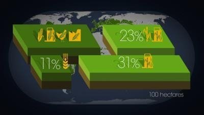 Mapping the World