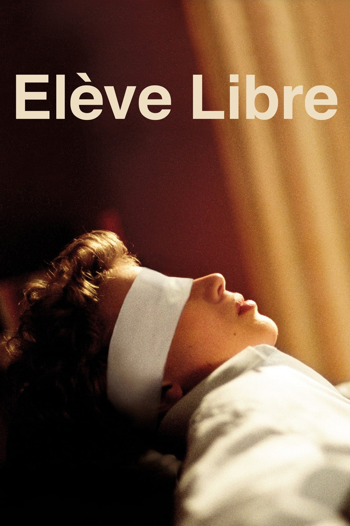Affiche du film Eleve Libre 42953