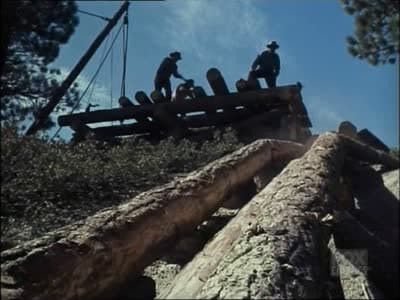 Bonanza