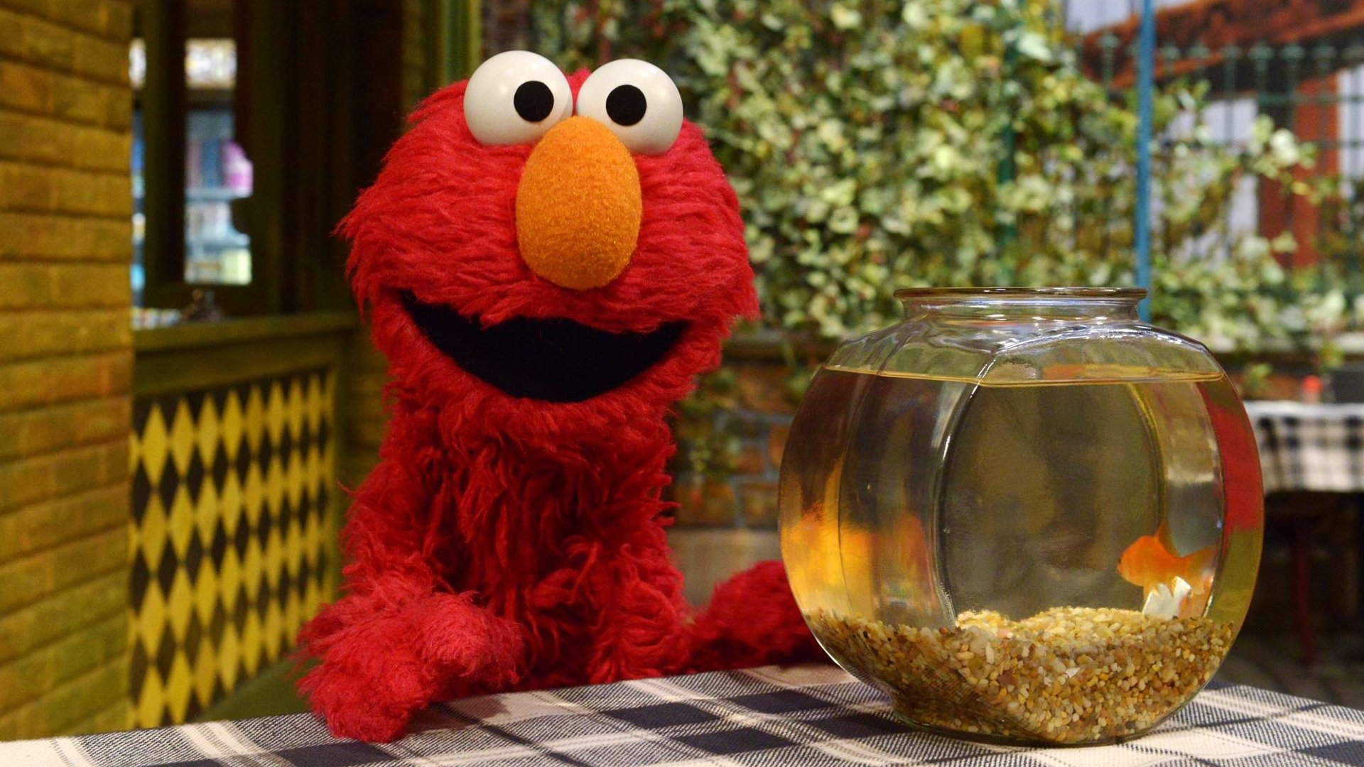 Sesame Street Staffel 46 :Folge 32 