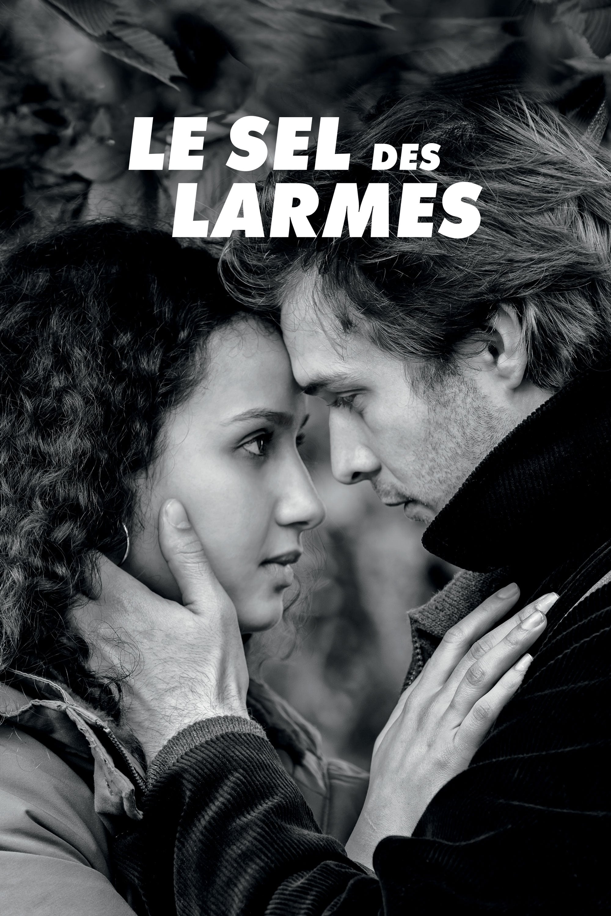 Affiche du film Le Sel des larmes 184273