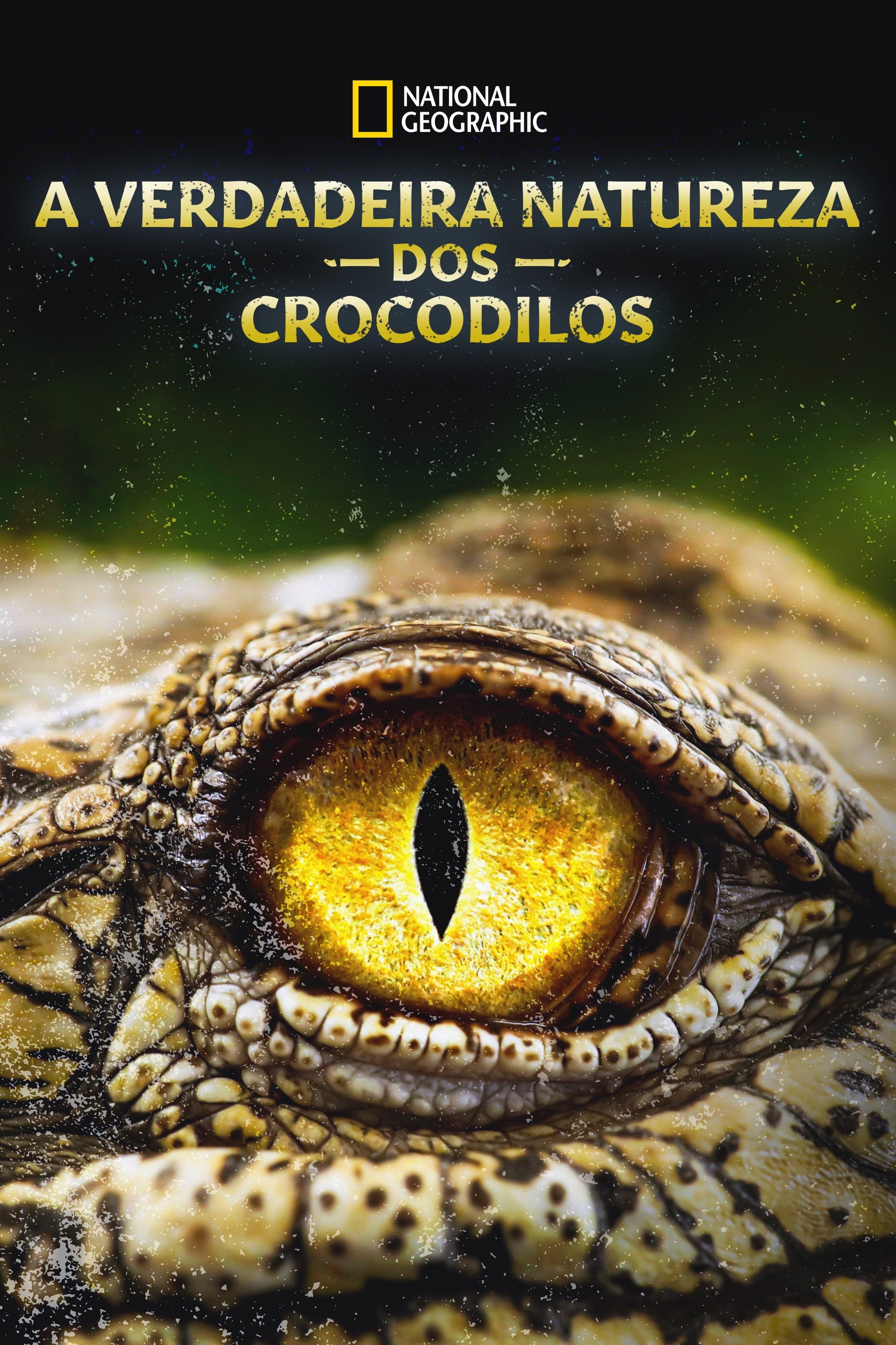 A Verdadeira Natureza dos Crocodilos A Verdadeira Natureza dos Crocodilos