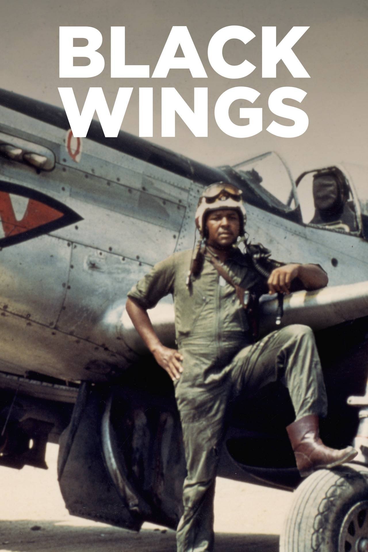 Black Wings