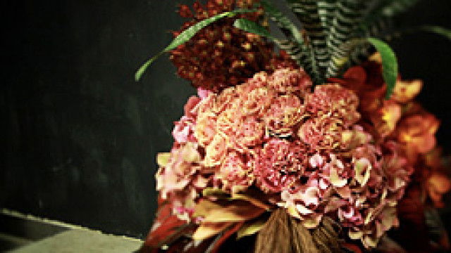 Thumbnail for Plants Season 1 Episode 11