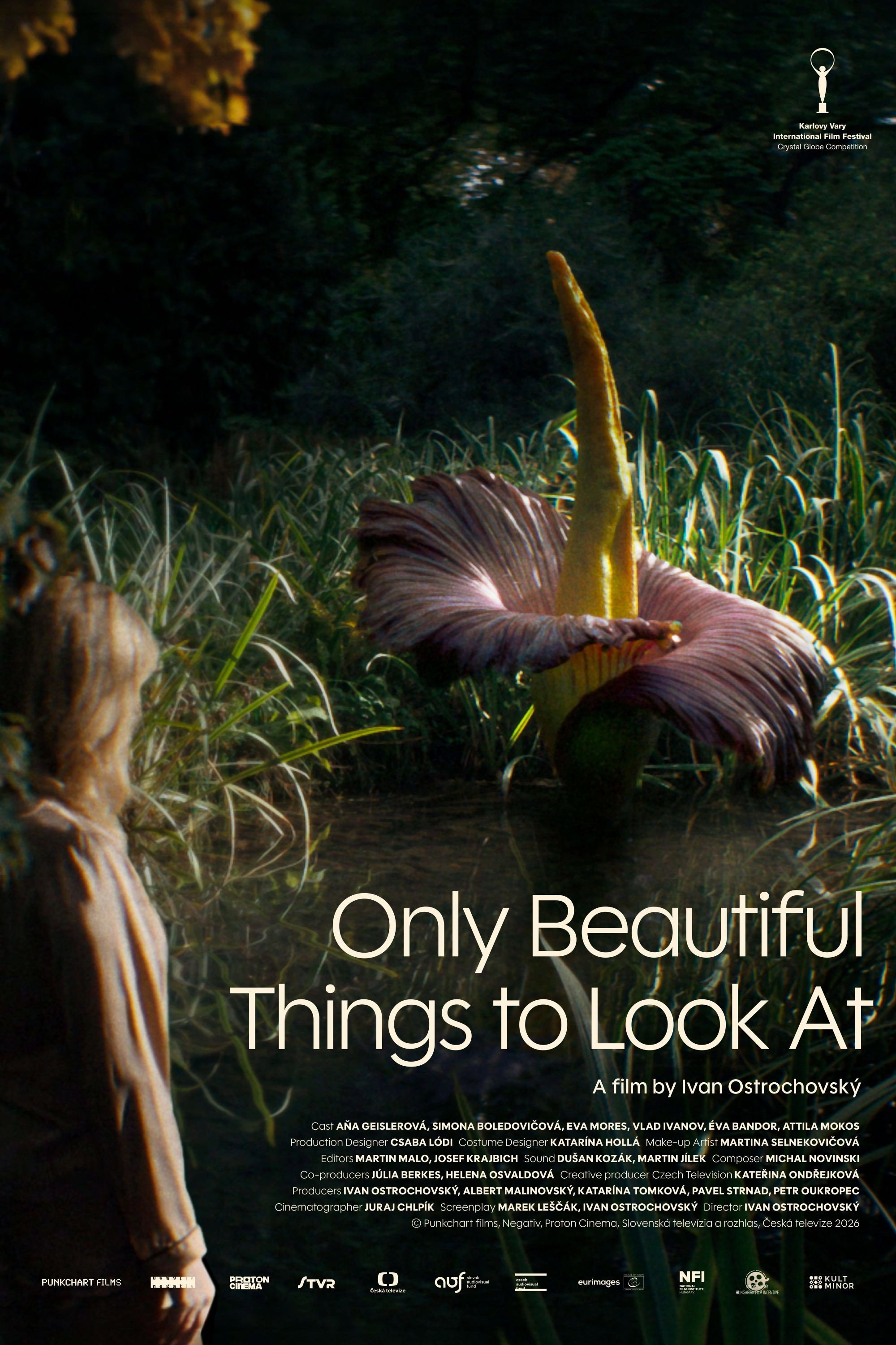 Only Beautiful Things to Look At