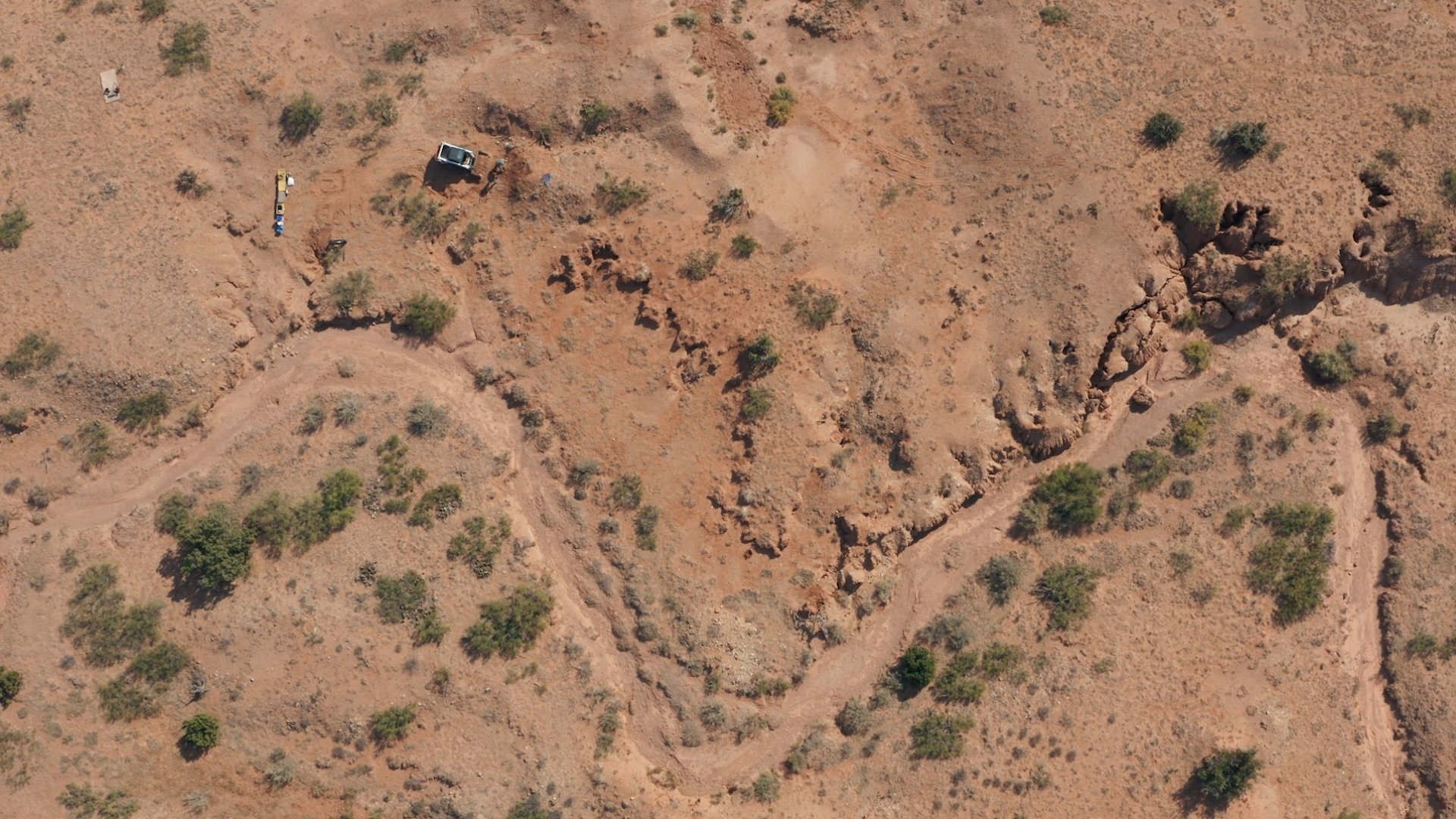 Dino Hunters