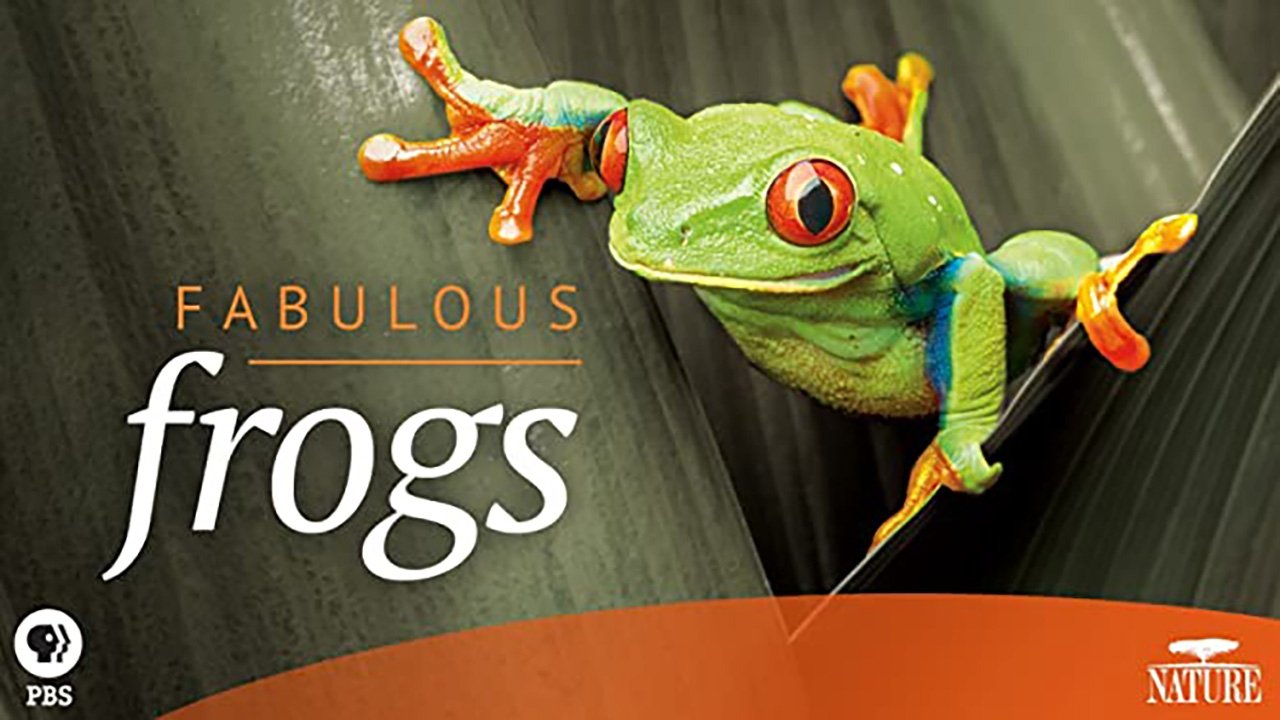 Fabulous Frogs