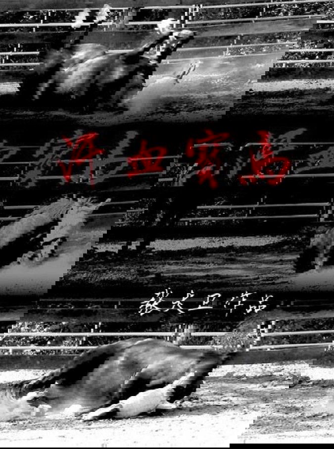 Content cover
