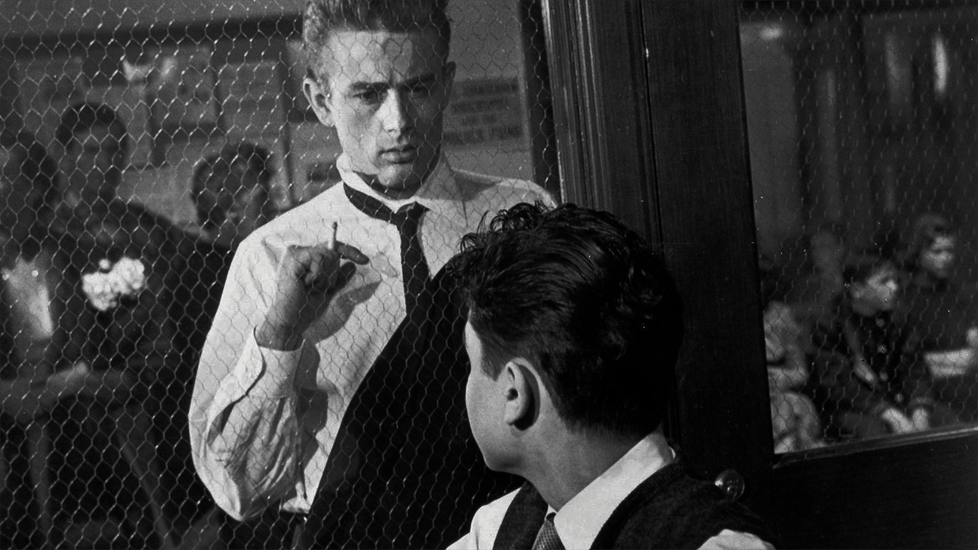 Rebel Without a Cause
