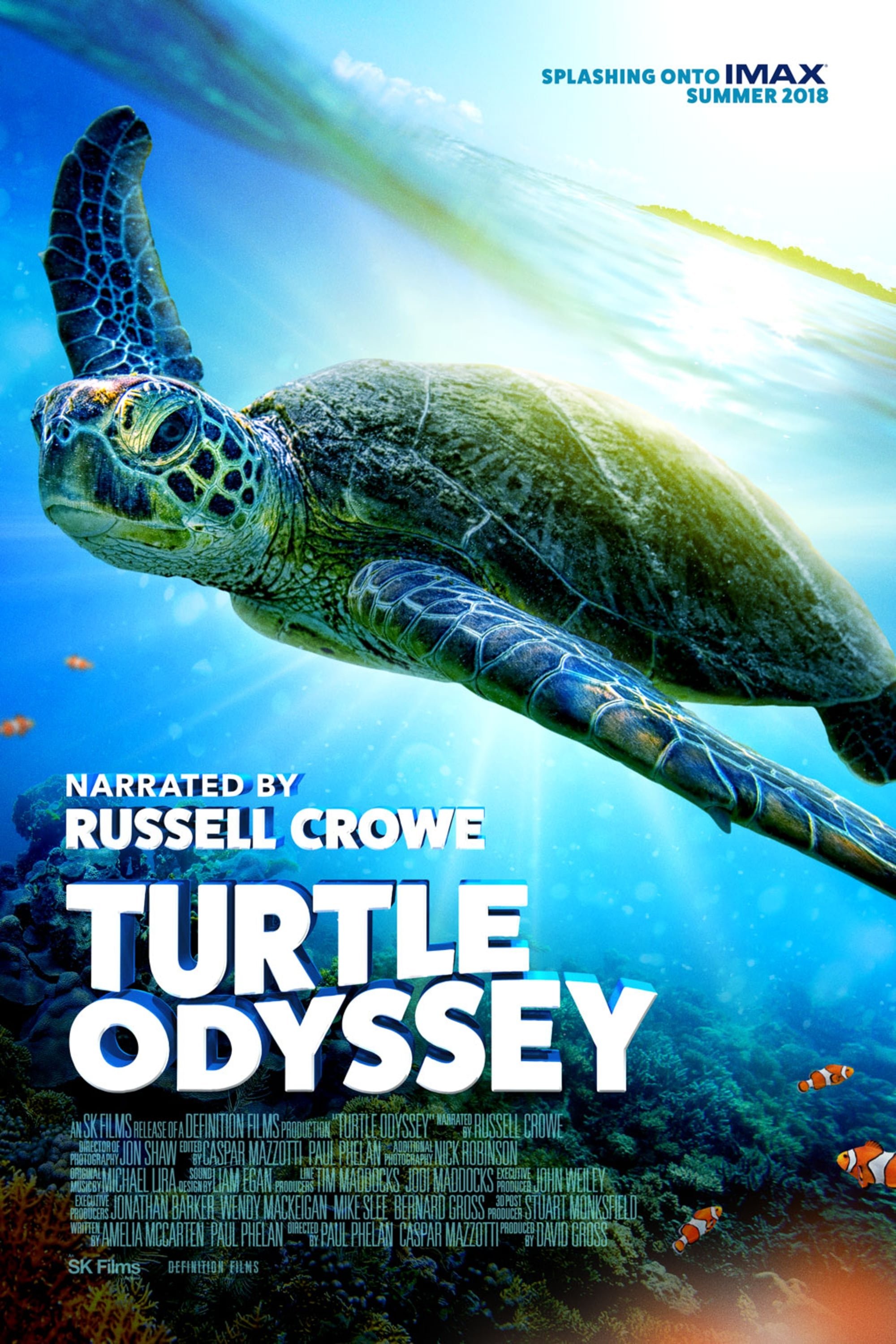 Turtle Odyssey