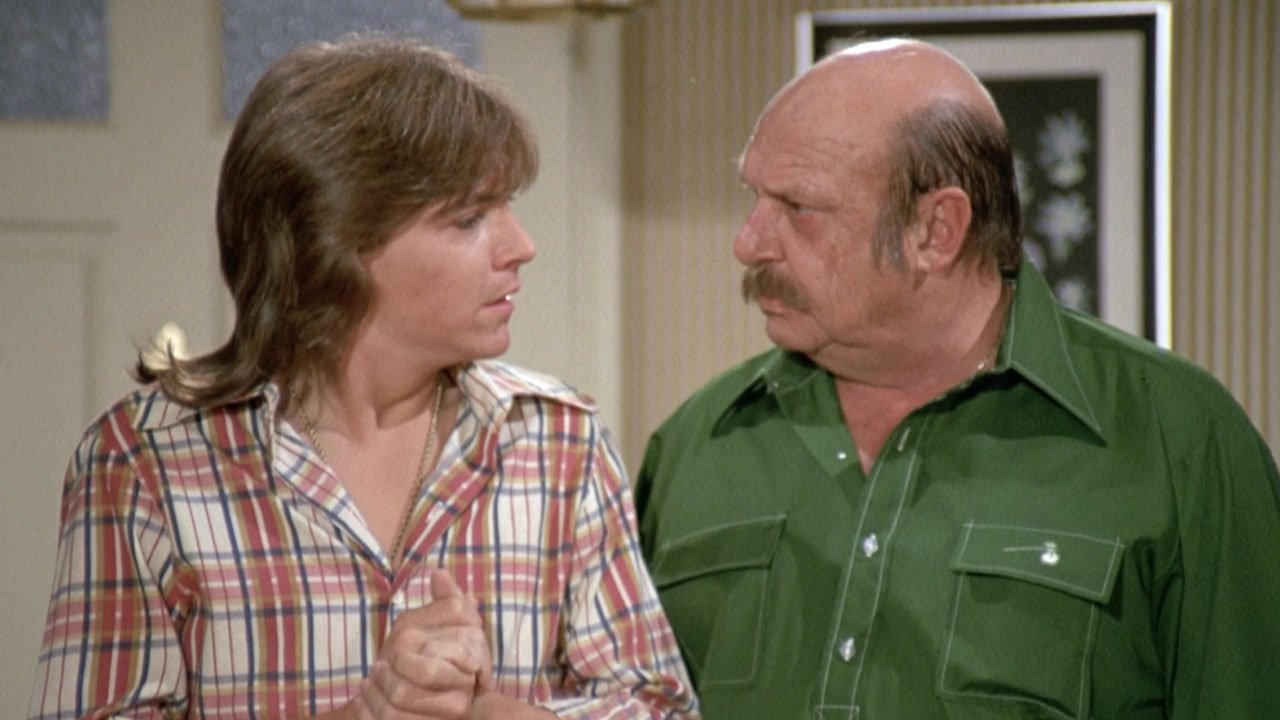 The Partridge Family