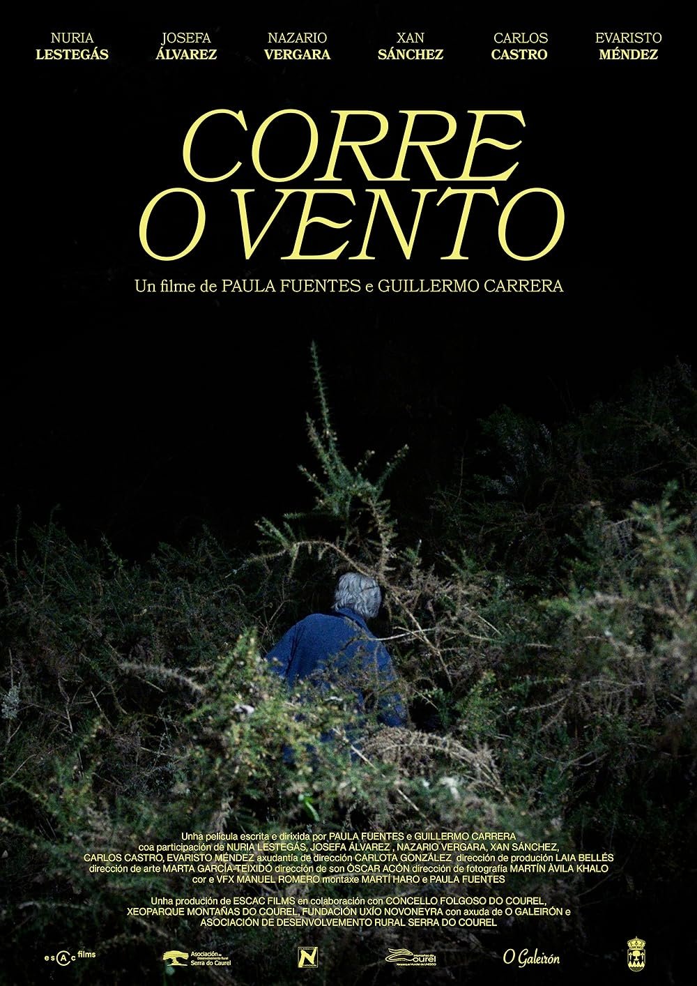 Corre o vento poster